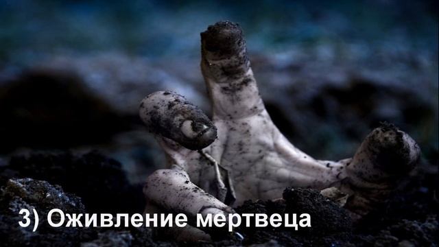 Топ самых аморальные эксперименты, сделанные ради науки. смотреть онлайн
