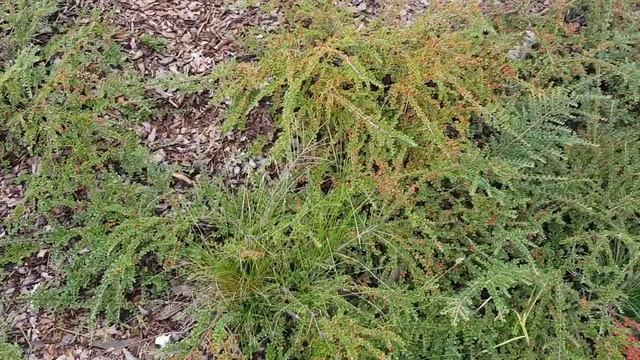 Автопутешествие Сентябрь 2017  Польша Германия / Poland Deutschland Part. 1