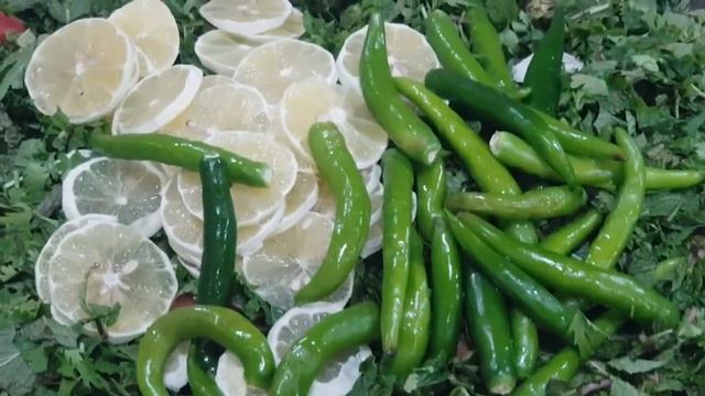 ПРАВИЛЬНЫЙ УХОД ЗА ПОМИДОРАМИ В ТЕПЛИЦЕ ОТ ПОСАДКИ ДО УРОЖАЯ смотреть онлайн