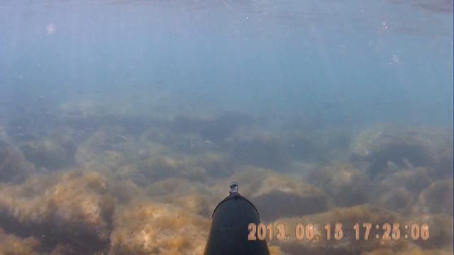 Подводная охота на Каспии. смотреть онлайн