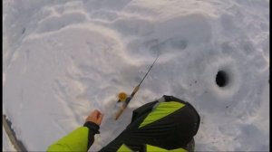 ФОРЕЛЬ НА РАЗНЫЕ ПРИМАНКИ  рыбалка в Алтайском крае