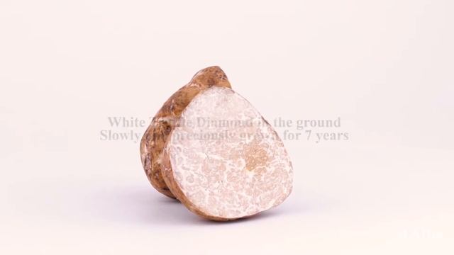 d'Alba's main powerful ingredient - White Truffle from Italy, Piedmont смотреть онлайн