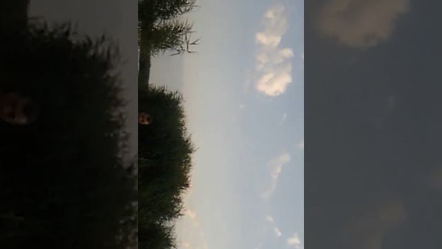 Алкаш рыбак смотреть онлайн