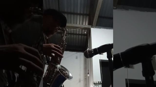 Sound tes alto saxophone Super clasic Amati Ceckoslovakia 1993 смотреть онлайн