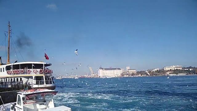 Паром в Стамбуле смотреть онлайн