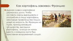 История об обыкновенной картошке история 6 кл