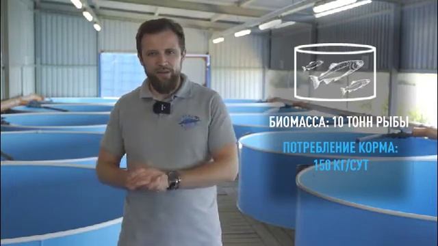 Инфографика/Рыбная ферма смотреть онлайн