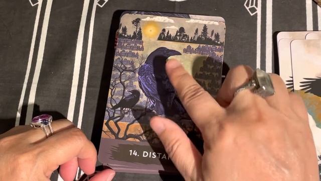 Urban Crow Oracle | Full Flip Through of Each Card смотреть онлайн