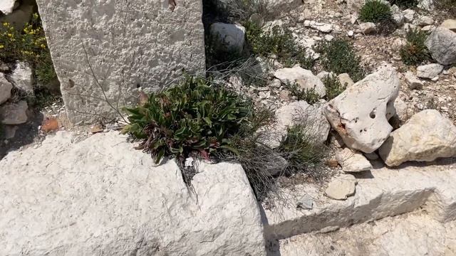 ?️Korykos: Следы древних технологий на камнях смотреть онлайн