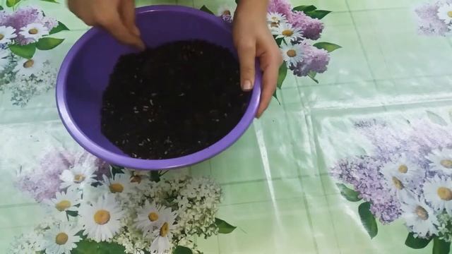 Самое лёгкое и самое вкусное пирожное - КАРТОШКА смотреть онлайн