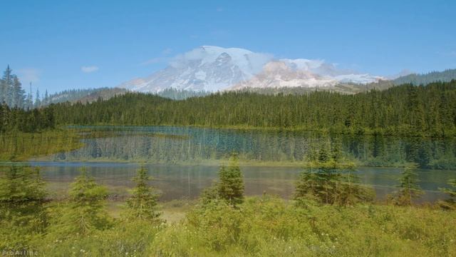 8HRS of Birds Songs and Mountain Lake Sounds - 8K Summer Day at Reflection Lake, Mount Rainier Area смотреть онлайн