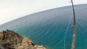 Shore Jigging: Monster GB Grouper #3. Feat. ZENAQ MUTHOS ACCURA 100H