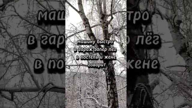 VID-20240228-WA0013.mp4 смотреть онлайн