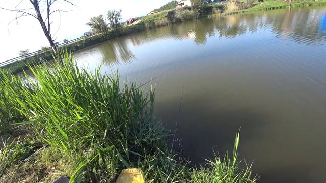 Рыбалка близ Алматы на Толстолоба. смотреть онлайн