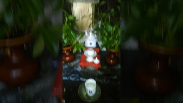 藤ヶ崎龍神 (Fujigasakiryuujin-shrine) Храм Бога-дракона, бога водной стихии в японской мифологии смотреть онлайн