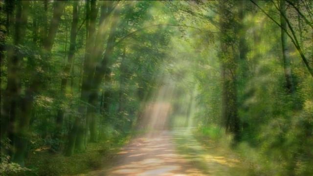 Музыка для релаксации 