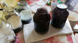 Компот из чёрной смородины без стерилизации.