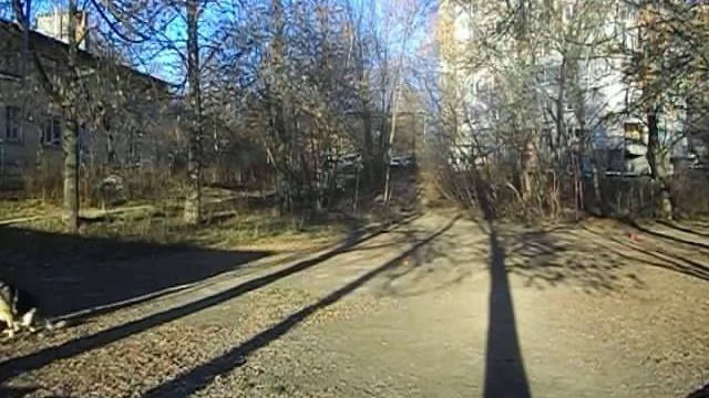 учим апорты по направлениям смотреть онлайн