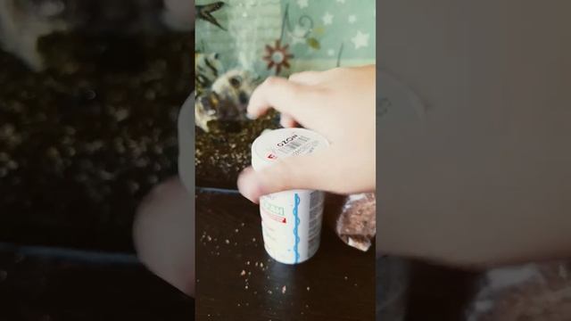 Чем питаются рыбы? смотреть онлайн