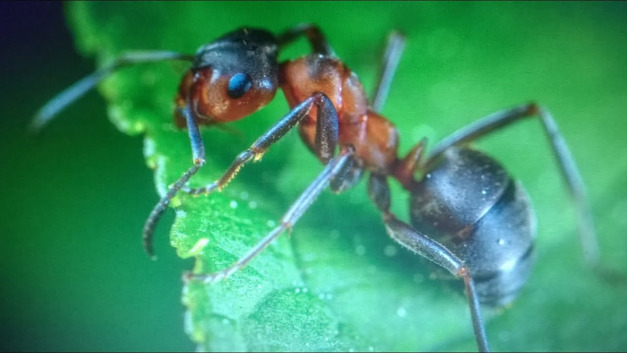ПОЛЕЗНЫЕ СОВЕТЫ