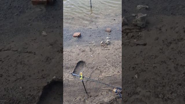 Классная рыбалка 👍Открытие сезона 20 мая 2023, пос.Бирлик, под Астанои !!! смотреть онлайн