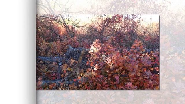 Цитаты о жизни мудрых людей