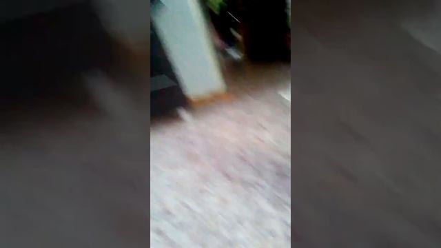 Как сделать уроки за пять минут смотреть онлайн