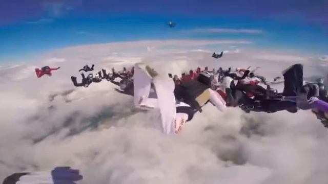 Птица Синица ❤️✨