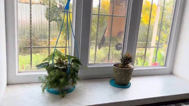 Баку-Хачмаз .Семейный отдых смотреть онлайн