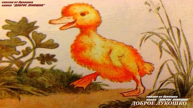 ХРАБРЫЙ УТЁНОК • сказка Бориса Житкова | Аудиосказка с картинками, сказки для детей смотреть онлайн