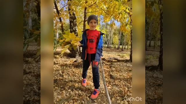 Разноцветная осень! смотреть онлайн