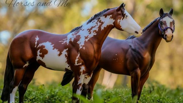 Фотографии лошадей Breyer | Photos Of Breyer Horses | лето 2020 | Summer 2020