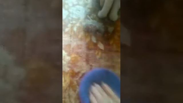 Как вывести пятно на ковре смотреть онлайн