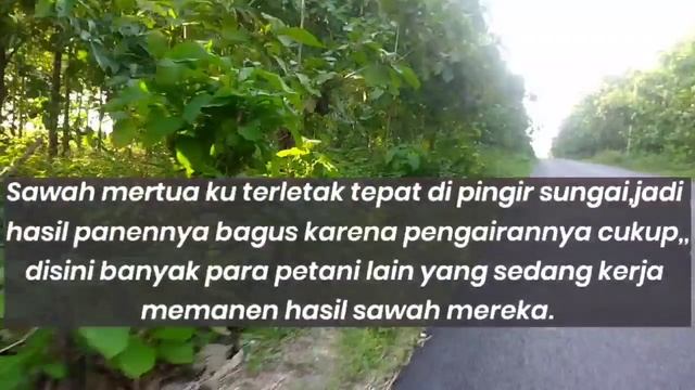 ?gara-gara terjebak Hujan sama ibu mertua di sawah | Cerpen Romantis смотреть онлайн