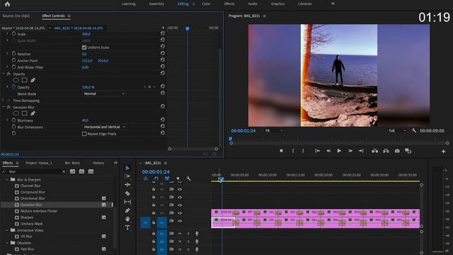 Как Быстро Сделать Слайд-шоу в Adobe Premiere Pro- (ТЫ НЕ ПОВЕРИШЬ).webm смотреть онлайн