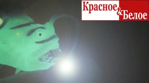🐟 Подводные МОНСТРЫ из КБ! Коллекция макси Подводный мир