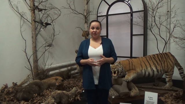 О чём говорят животные? смотреть онлайн