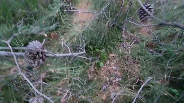 Израильская ШВЕЙЦАРИЯ — горная деревня ? смотреть онлайн