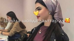 Чеченские песни