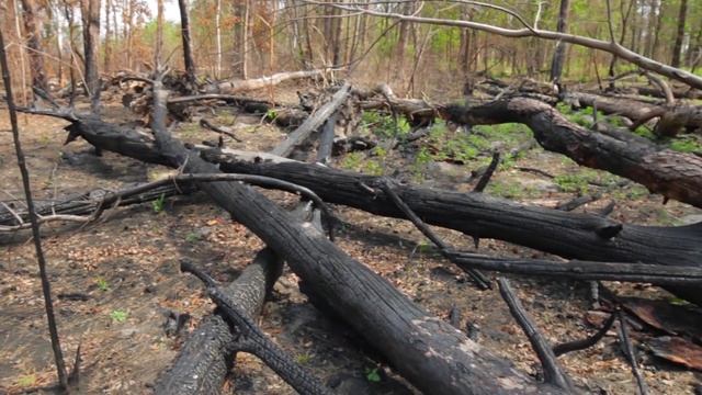 10 Камней, Которые Лучше Никогда Не Трогать смотреть онлайн