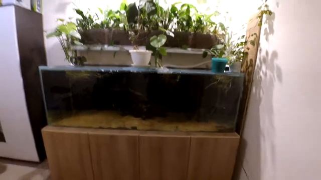 Аквариум на 1000 литров своими руками смотреть онлайн