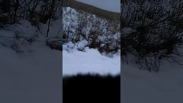 Еду по снегу на мотоцикле иж планета 5 смотреть онлайн