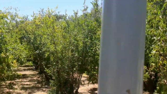 Наша квартира в Анталии в районе Хурма за 10000 рублей в месяц 🇹🇷🇹🇷🇹🇷 Успели урвать до подорожания смотреть онлайн