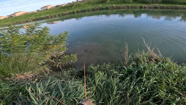 Vous n'allez pas croire ce que les voleurs jettent dans le Canal смотреть онлайн