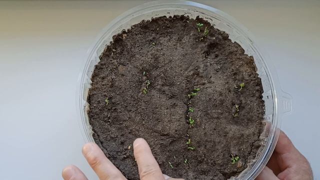 Фотография Моды и Глянцевых Журналов