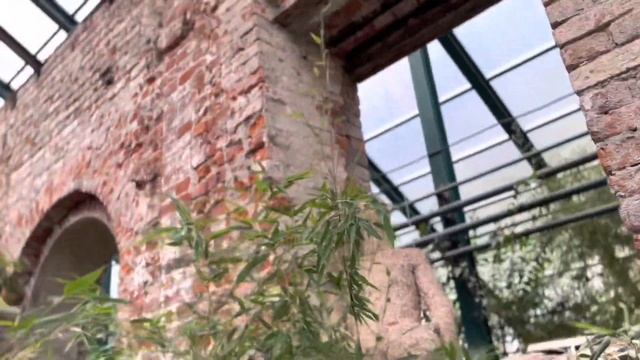 Аптекарский огород смотреть онлайн