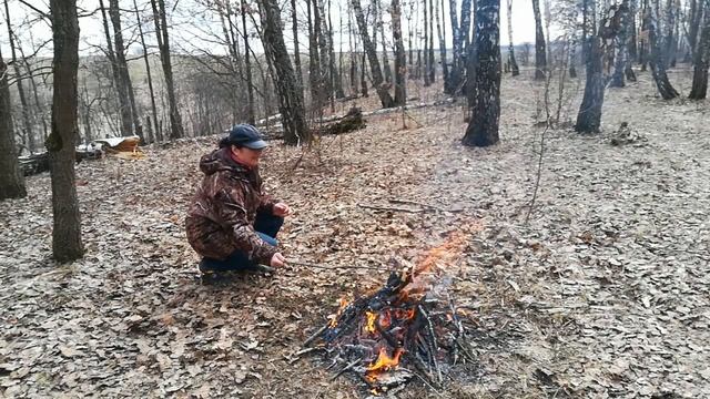 Лесные впечатления грибника