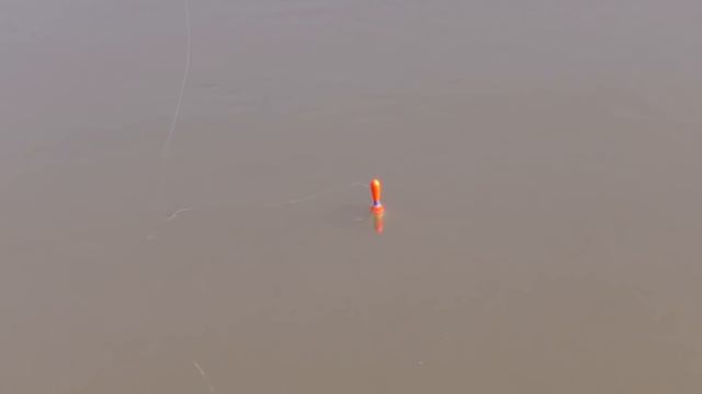 Ловля в Подводном Мире