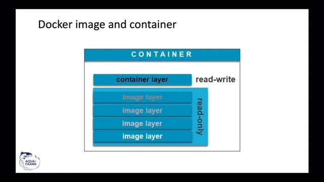 AQUA-FAANG training: Introduction to containers смотреть онлайн
