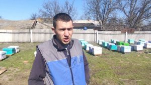 Первые работы на пасеке,стимуляция ГФС 42,как прошла зимовка,ставим полоски, новый турецкий дымарь